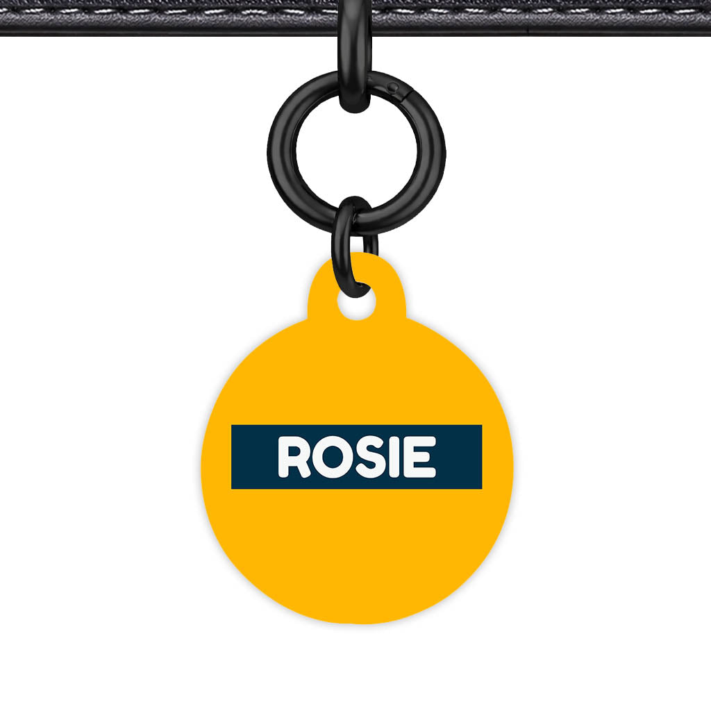 Teal QR Smart Pet Id Tag (Dog Tag & Cat Tag)