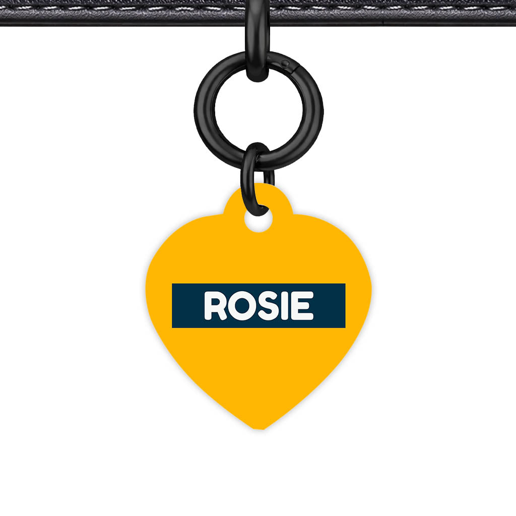 Teal QR Smart Pet Id Tag (Dog Tag & Cat Tag)