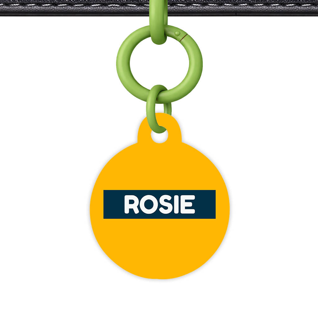 Teal QR Smart Pet Id Tag (Dog Tag & Cat Tag)