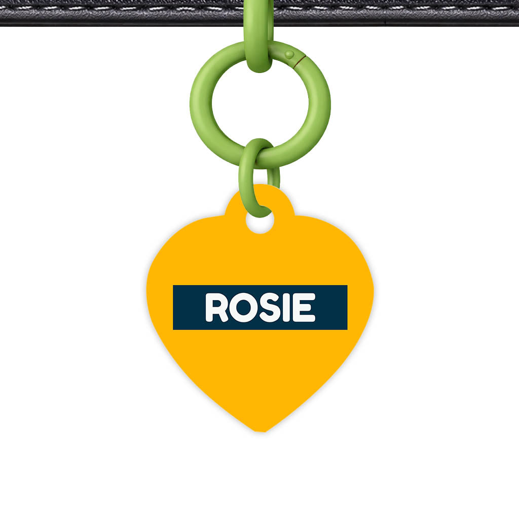 Teal QR Smart Pet Id Tag (Dog Tag & Cat Tag)