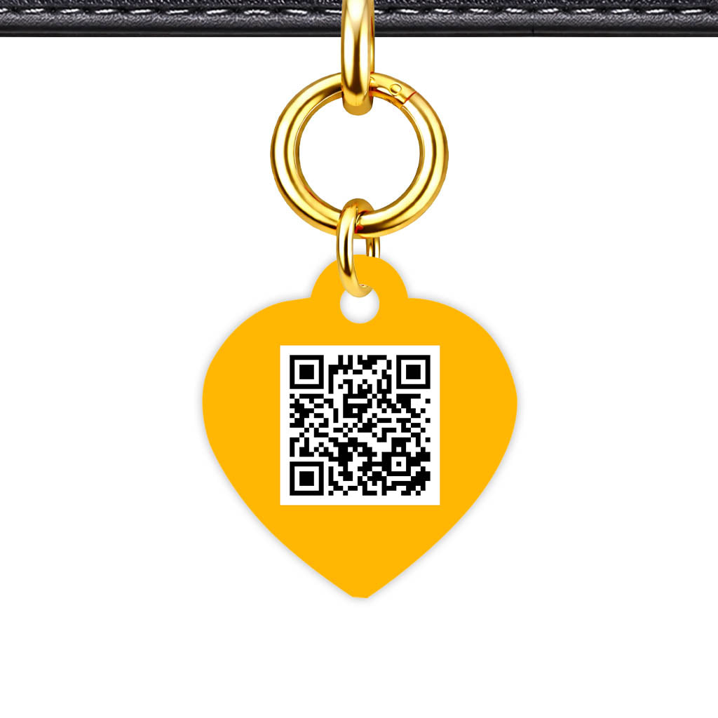 Teal QR Smart Pet Id Tag (Dog Tag & Cat Tag)