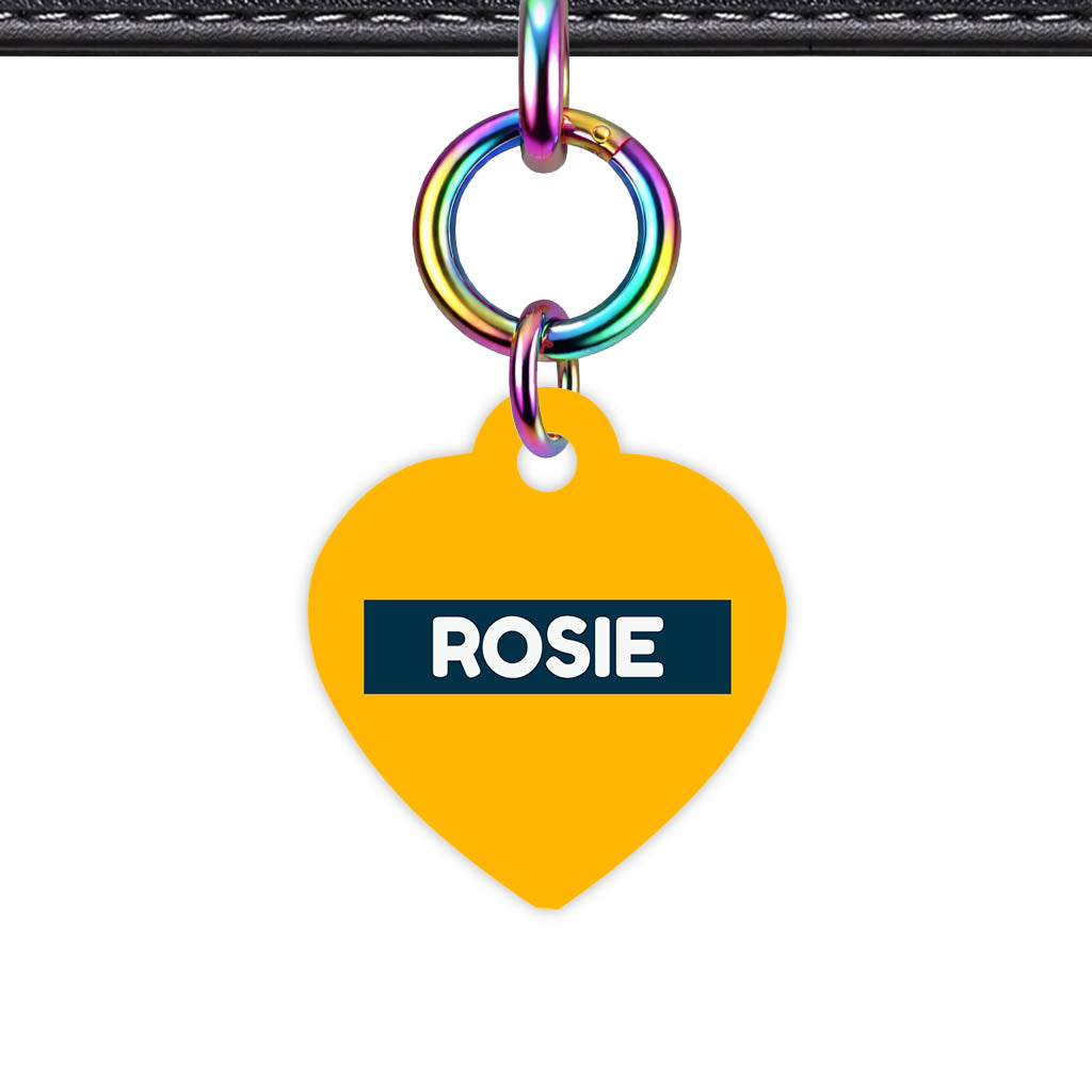 Teal QR Smart Pet Id Tag (Dog Tag & Cat Tag)