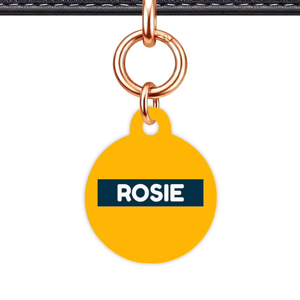 Teal QR Smart Pet Id Tag (Dog Tag & Cat Tag)