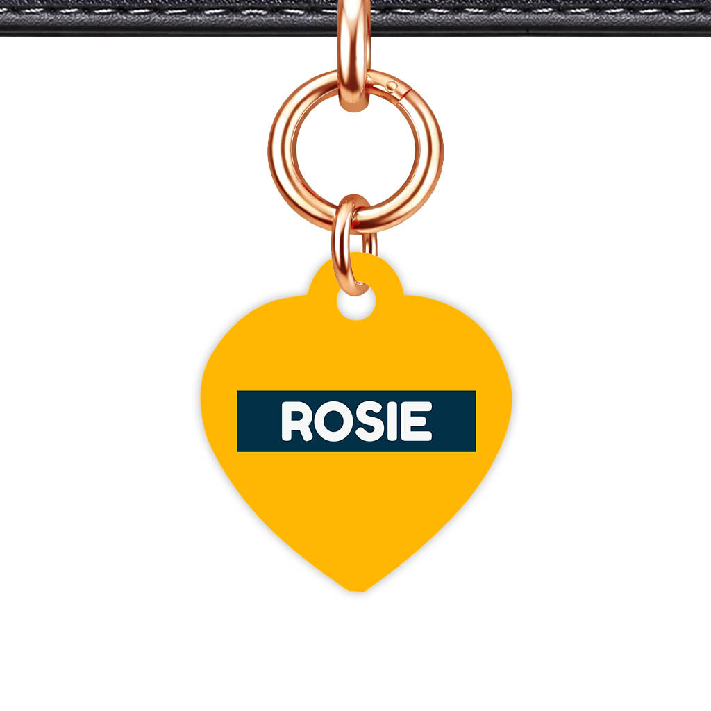 Teal Classic Pet Id - detail view