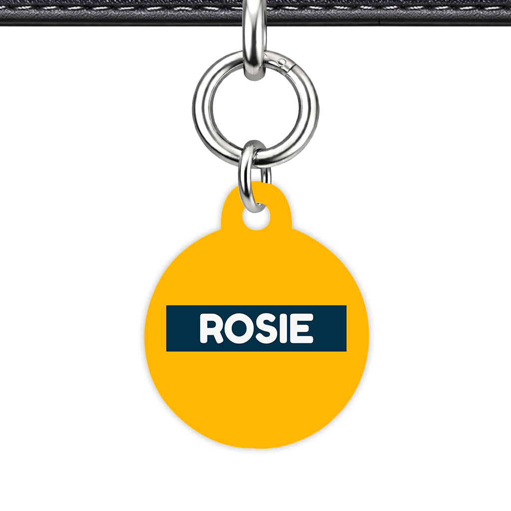 Teal Classic Pet Id - image 23