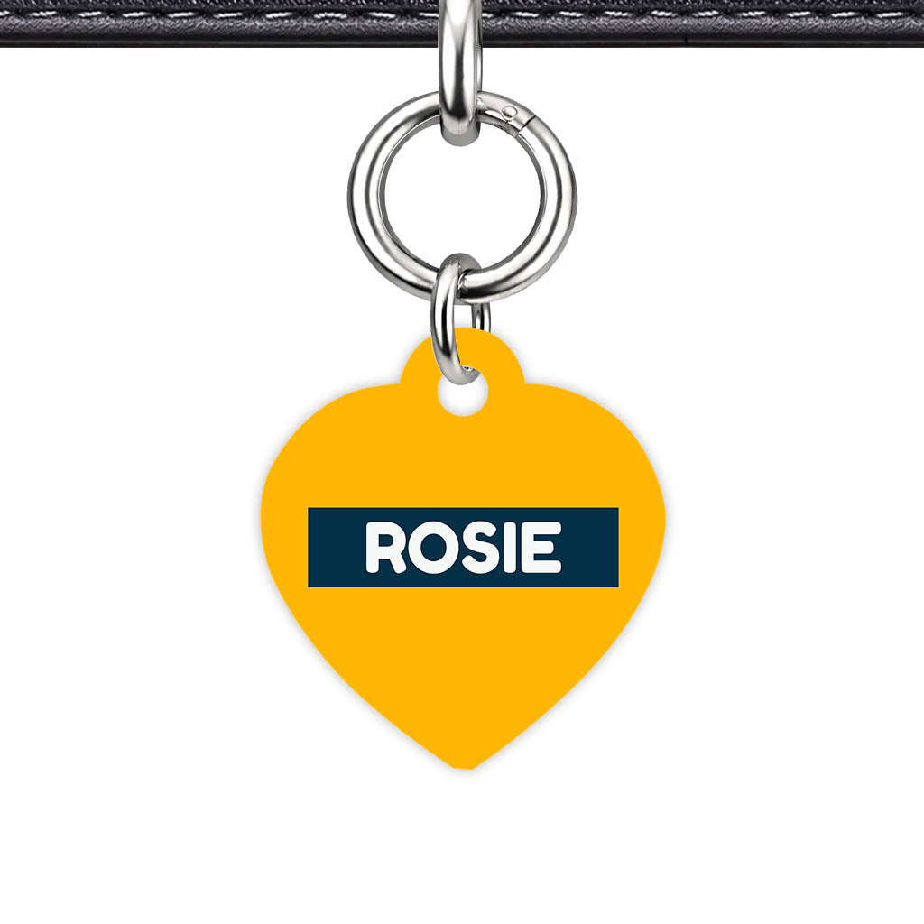 Teal QR Smart Pet Id Tag (Dog Tag & Cat Tag)