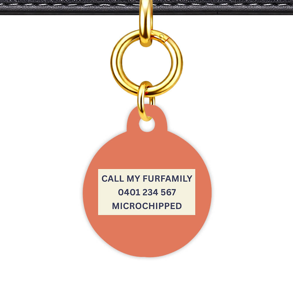 Teraracotta Classic Pet Id - image 22