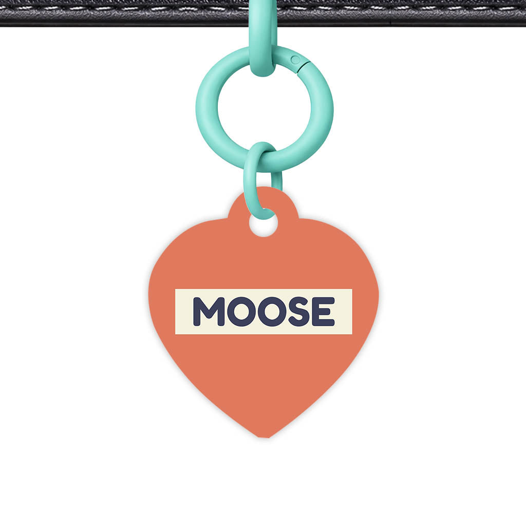 Teraracotta QR Smart Pet Id Tag (Dog Tag & Cat Tag)