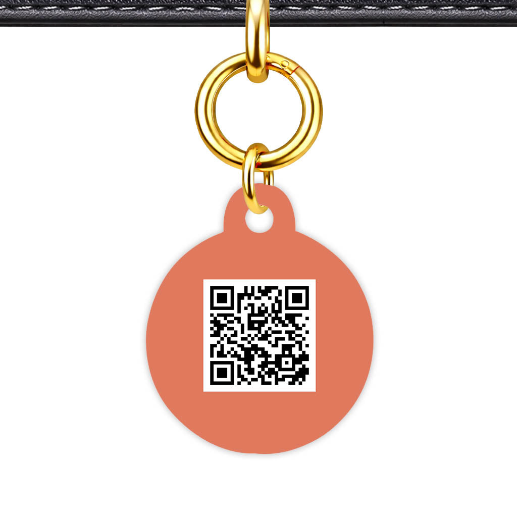 Teraracotta QR Smart Pet Id Tag (Dog Tag & Cat Tag)