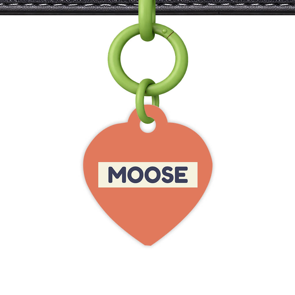 Teraracotta QR Smart Pet Id Tag (Dog Tag & Cat Tag)