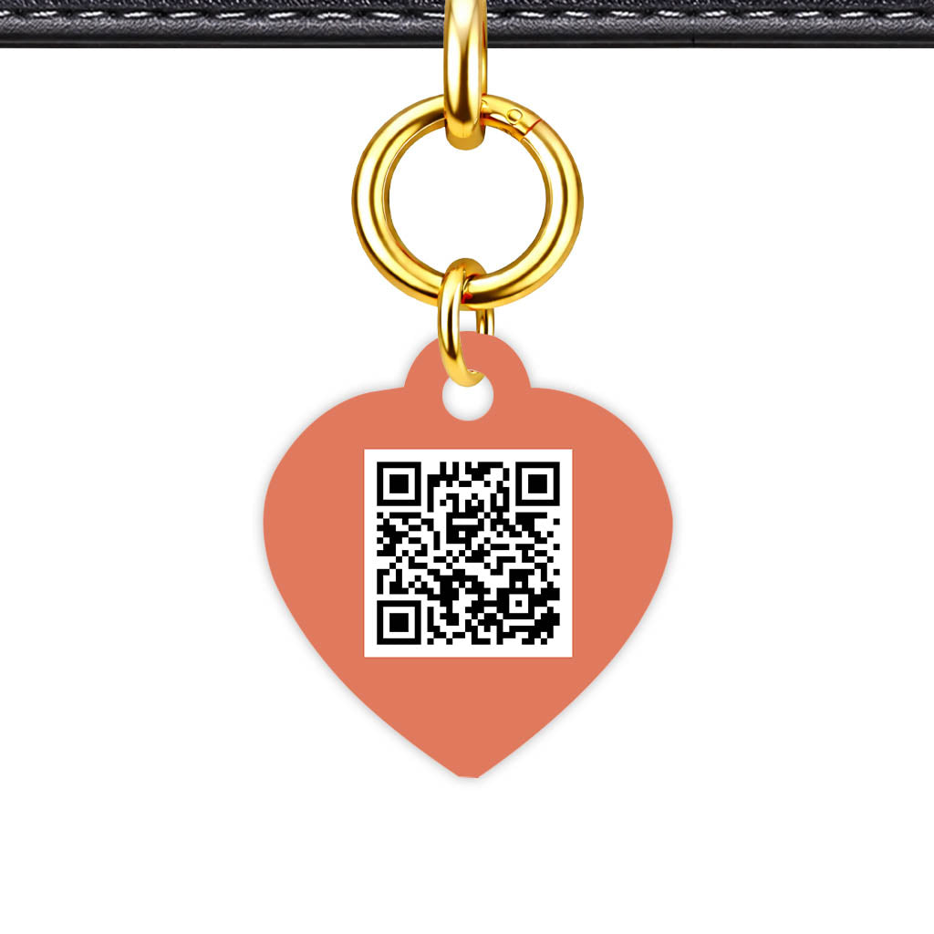 Teraracotta QR Smart Pet Id Tag (Dog Tag & Cat Tag)