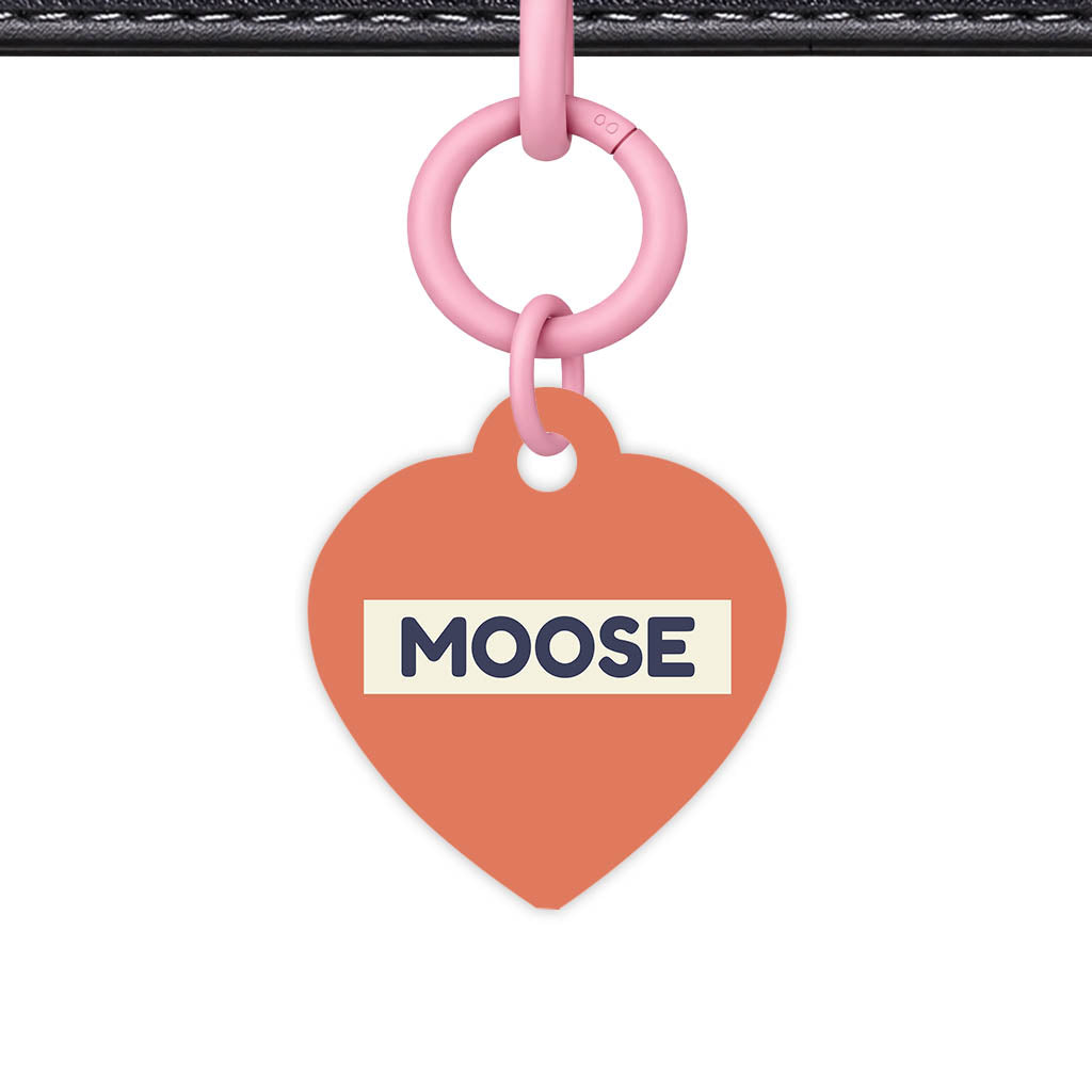 Teraracotta QR Smart Pet Id Tag (Dog Tag & Cat Tag)