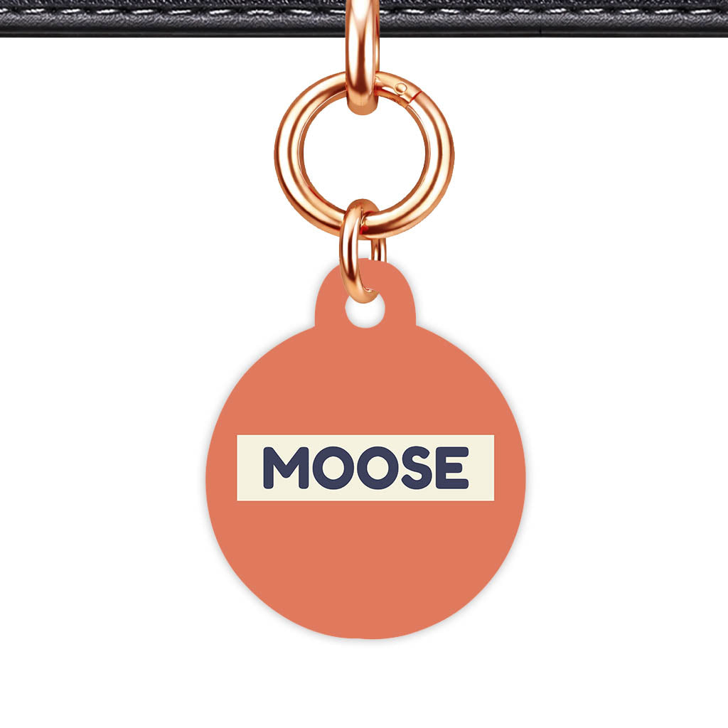 Teraracotta QR Smart Pet Id Tag (Dog Tag & Cat Tag)