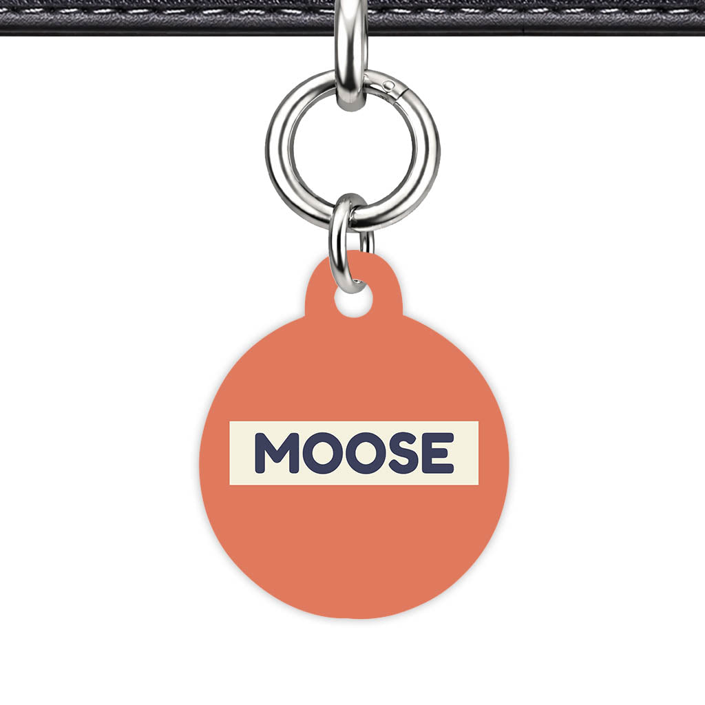 Teraracotta QR Smart Pet Id Tag (Dog Tag & Cat Tag)