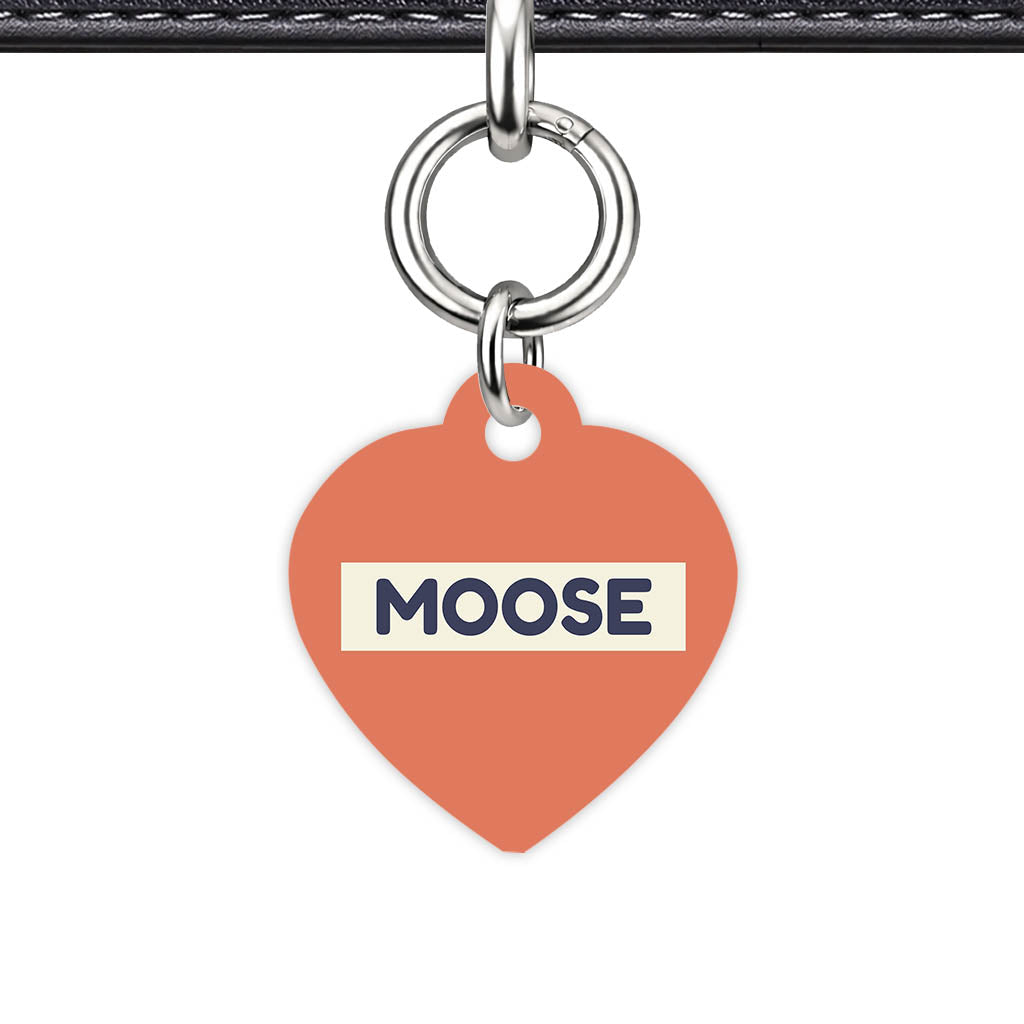 Teraracotta Classic Pet Id - detail view