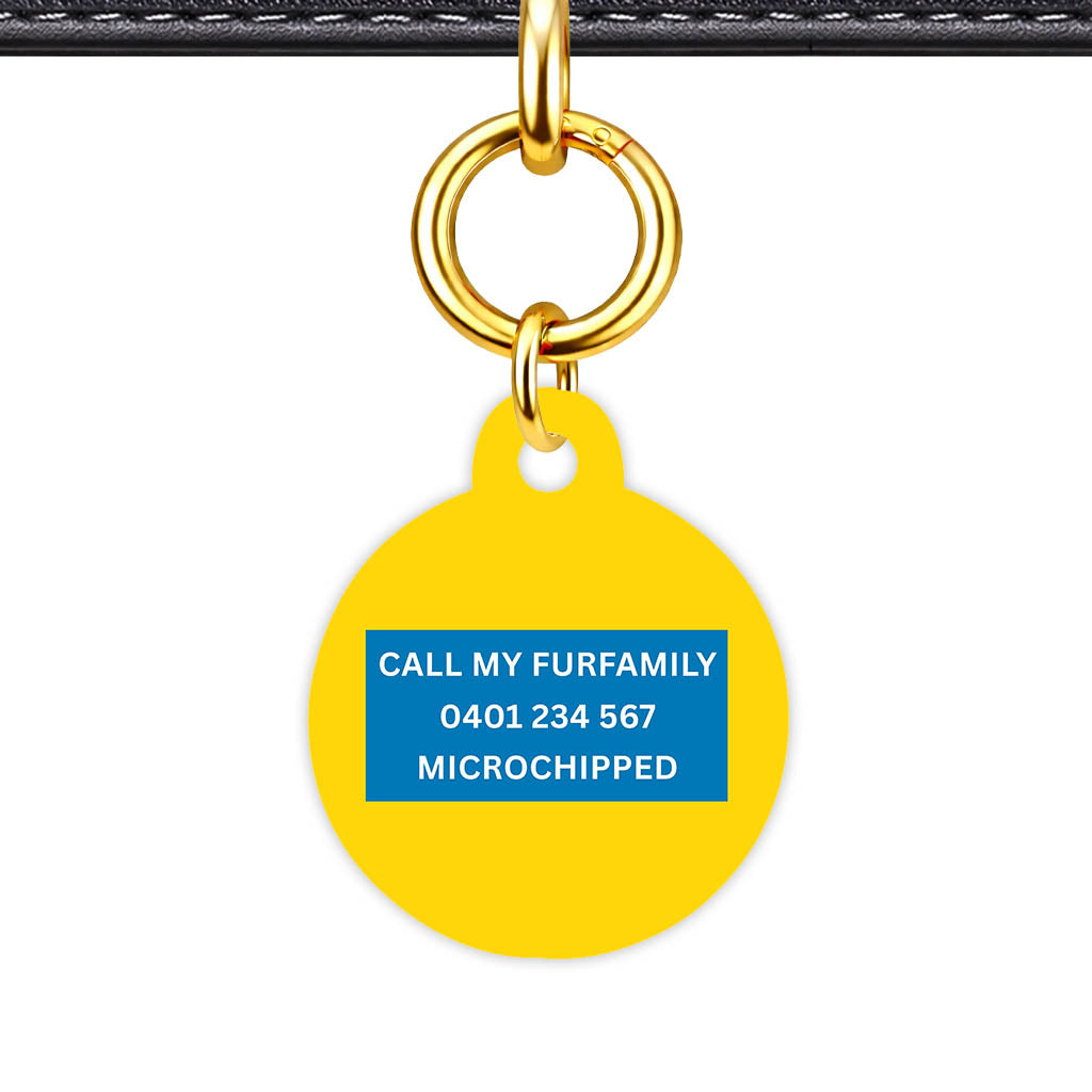 Yellow Bold Classic Pet Id - image 22