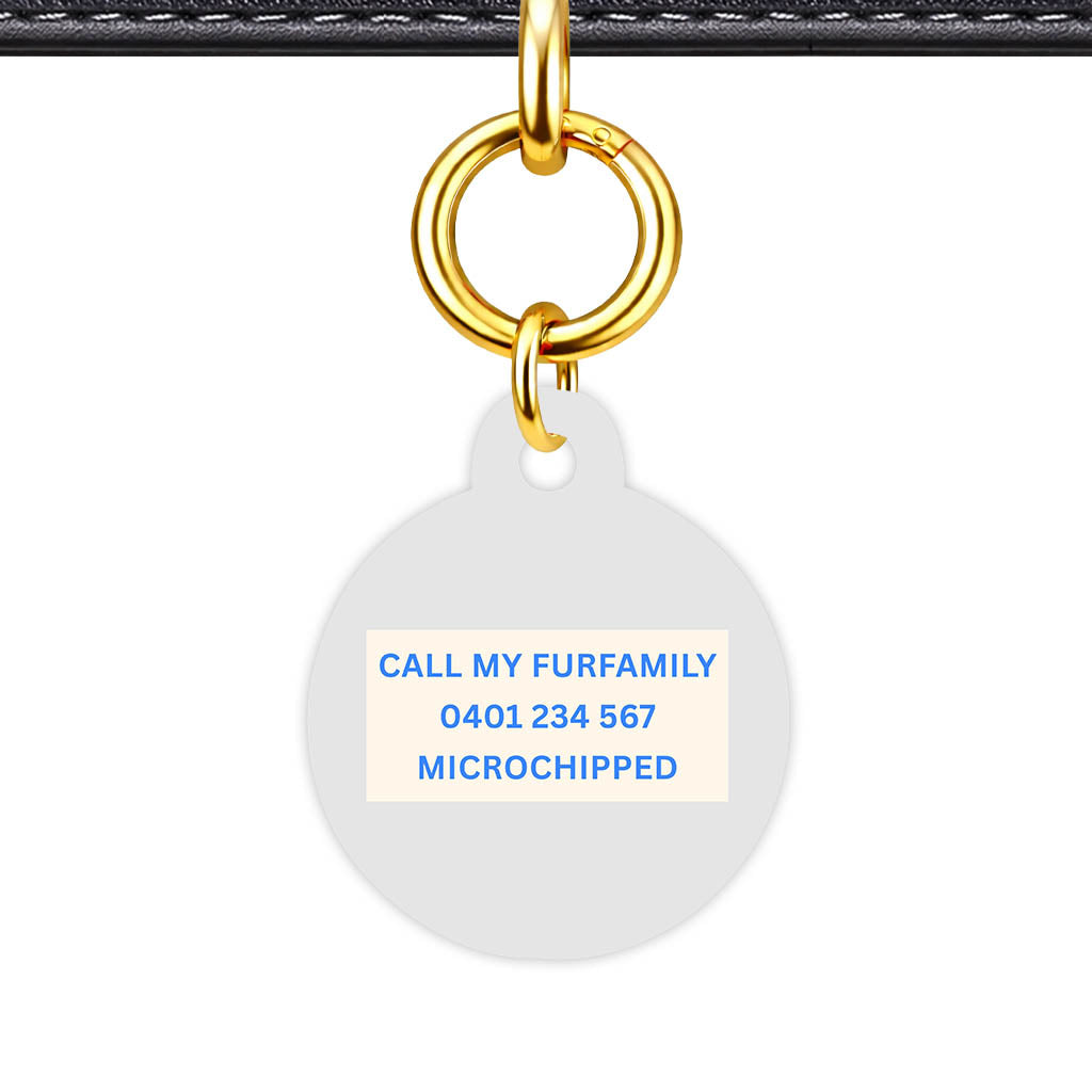Gray Classic Pet Id (Dog Tag & Cat Tag)