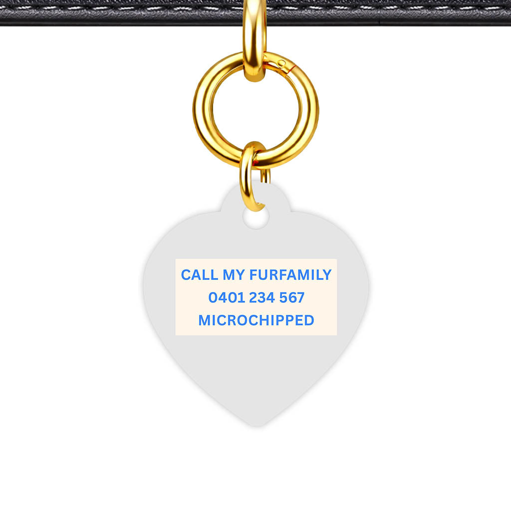 Gray Classic Pet Id (Dog Tag & Cat Tag)