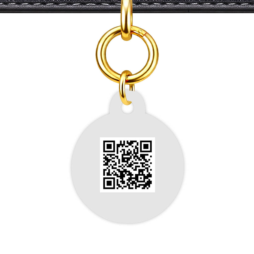 Gray QR Smart Pet Id Tag (Dog Tag & Cat Tag)