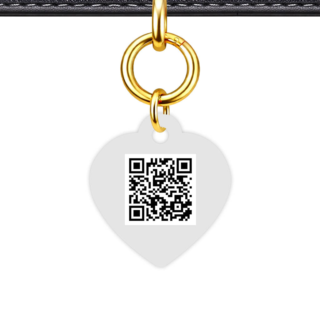 Gray QR Smart Pet Id Tag (Dog Tag & Cat Tag)