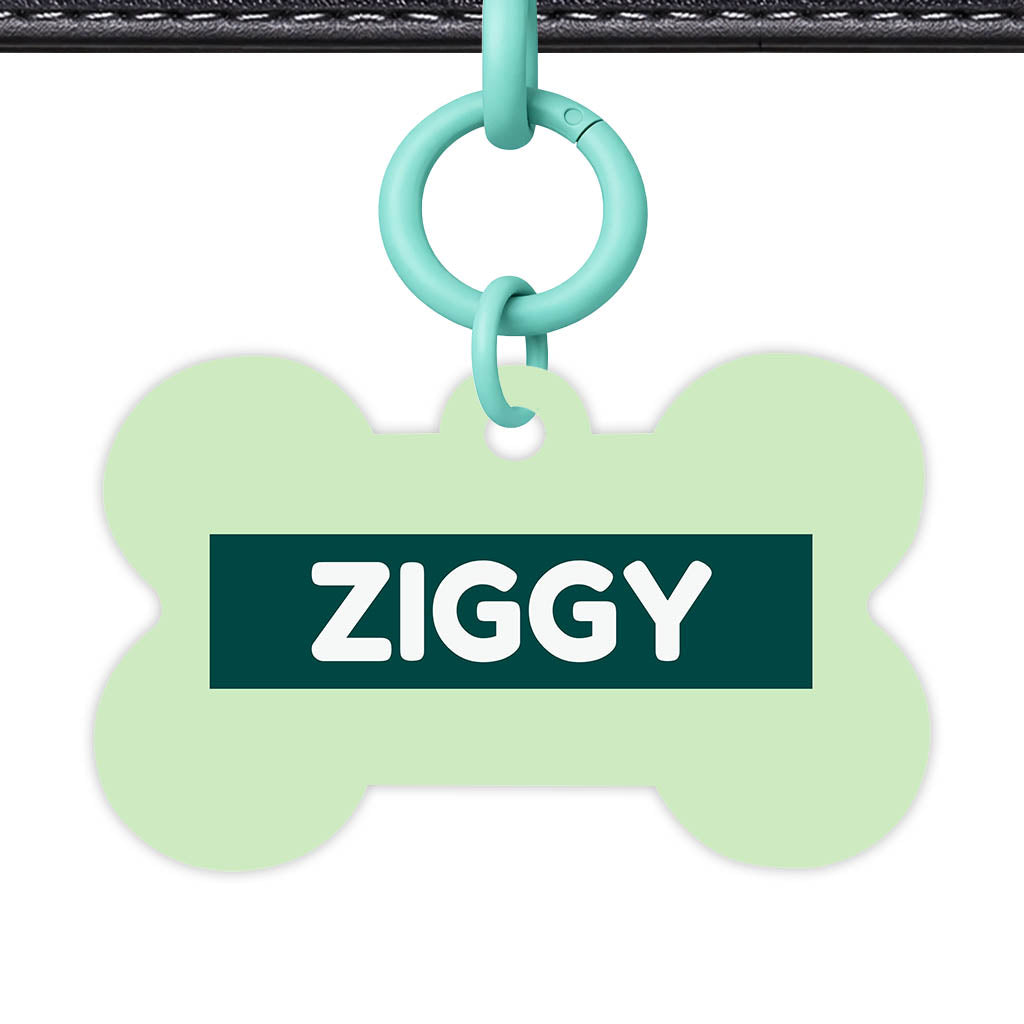 Green Pastels Classic Pet Id (Dog Tag & Cat Tag)