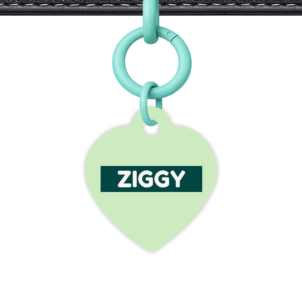 Green Pastels Classic Pet Id (Dog Tag & Cat Tag)