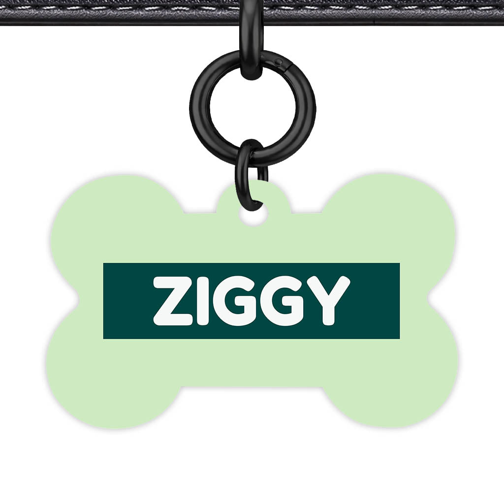 Green Pastels Classic Pet Id (Dog Tag & Cat Tag)