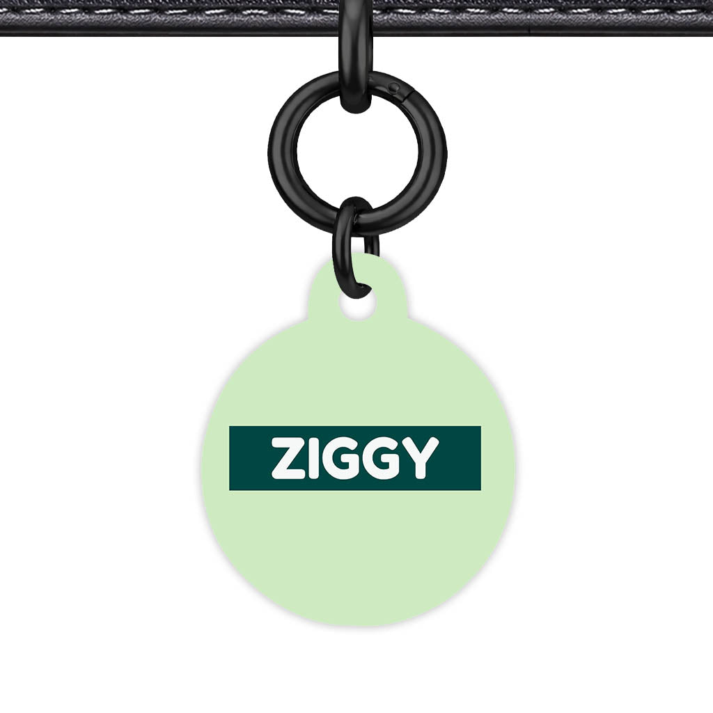 Green Pastels QR Smart Pet Id Tag (Dog Tag & Cat Tag)