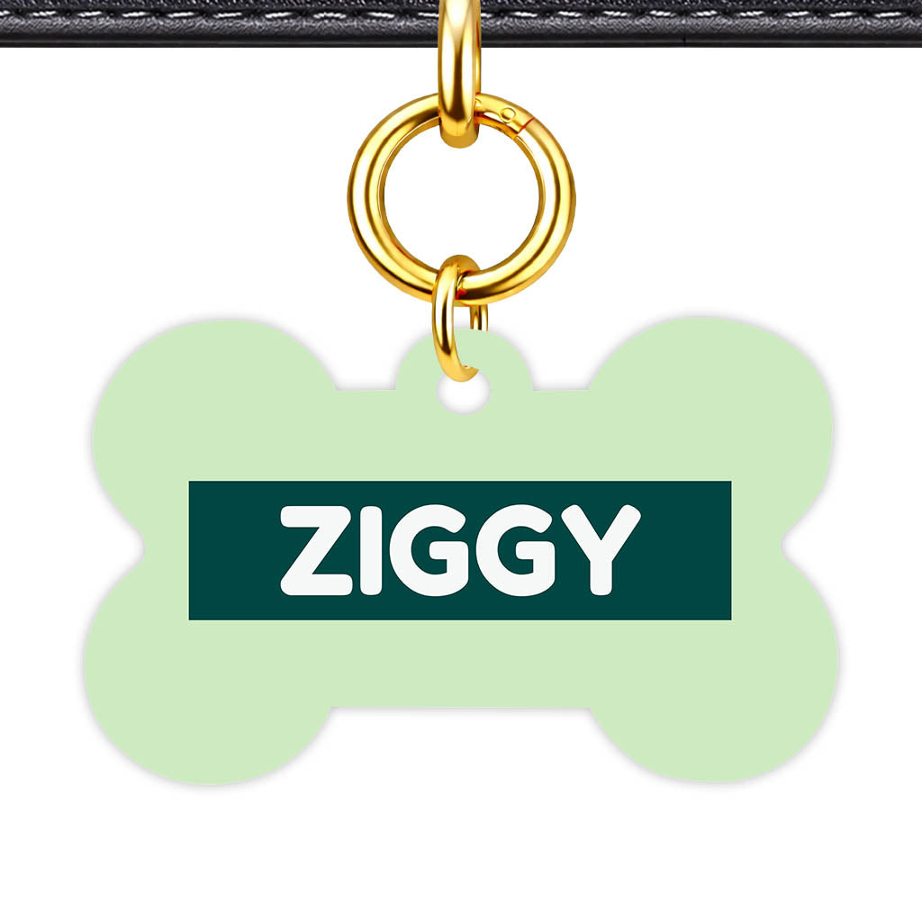 Green Pastels Classic Pet Id (Dog Tag & Cat Tag)