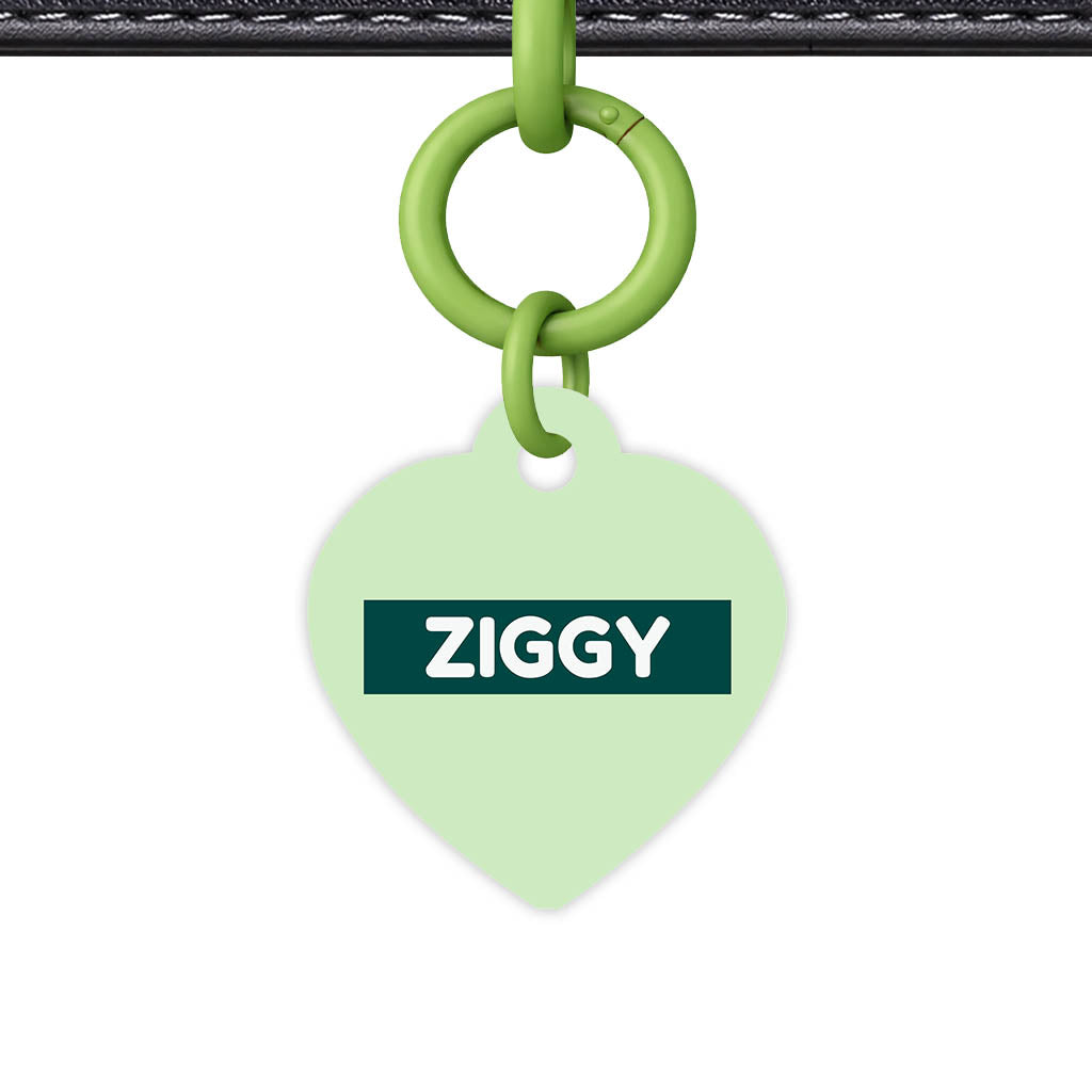 Green Pastels Classic Pet Id (Dog Tag & Cat Tag)