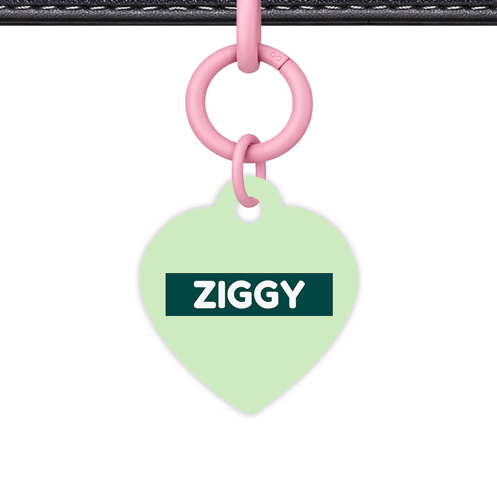 Green Pastels QR Smart Pet Id Tag (Dog Tag & Cat Tag)