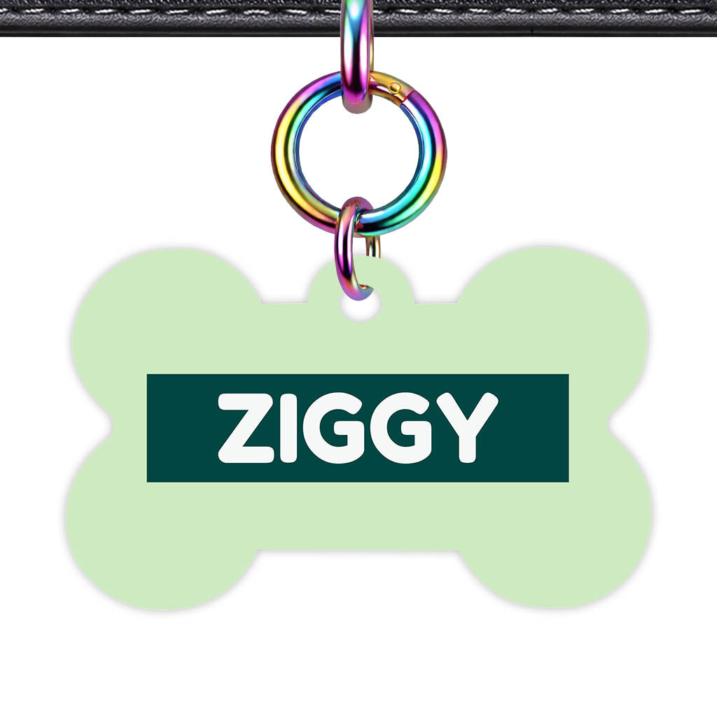 Green Pastels Classic Pet Id (Dog Tag & Cat Tag)