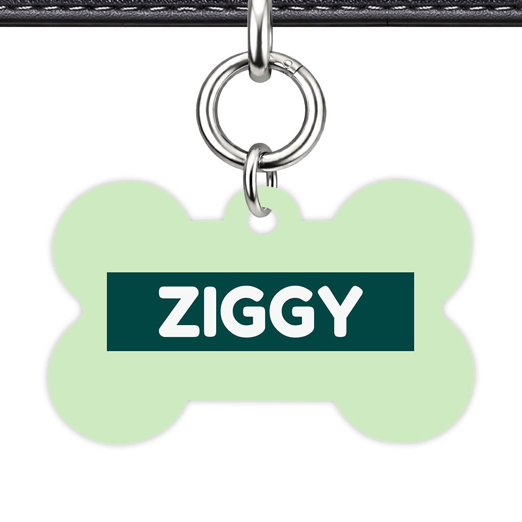 Green Pastels Classic Pet Id (Dog Tag & Cat Tag)