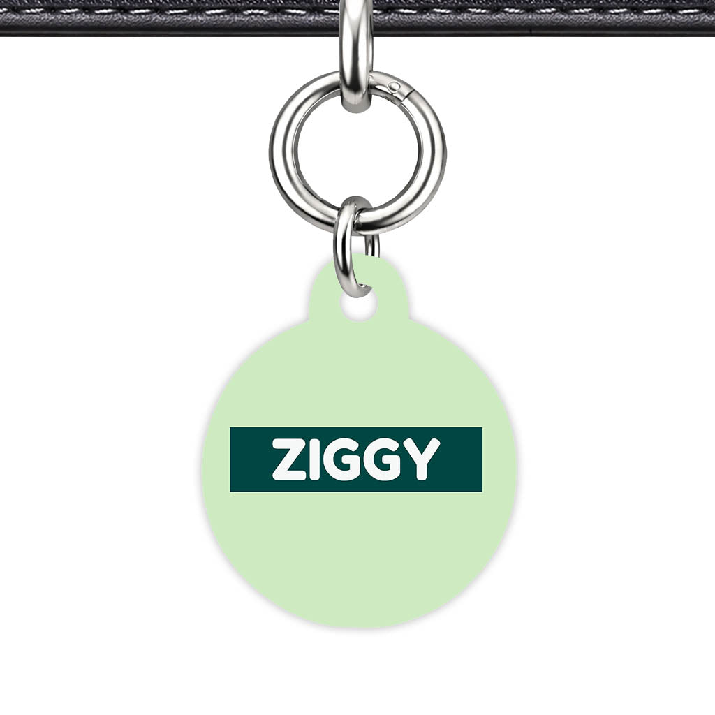 Green Pastels Classic Pet Id (Dog Tag & Cat Tag)