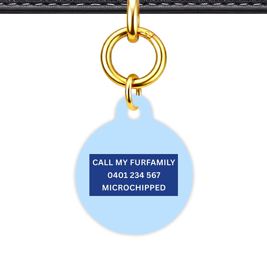 Sky Blue Classic Pet Id - image 22