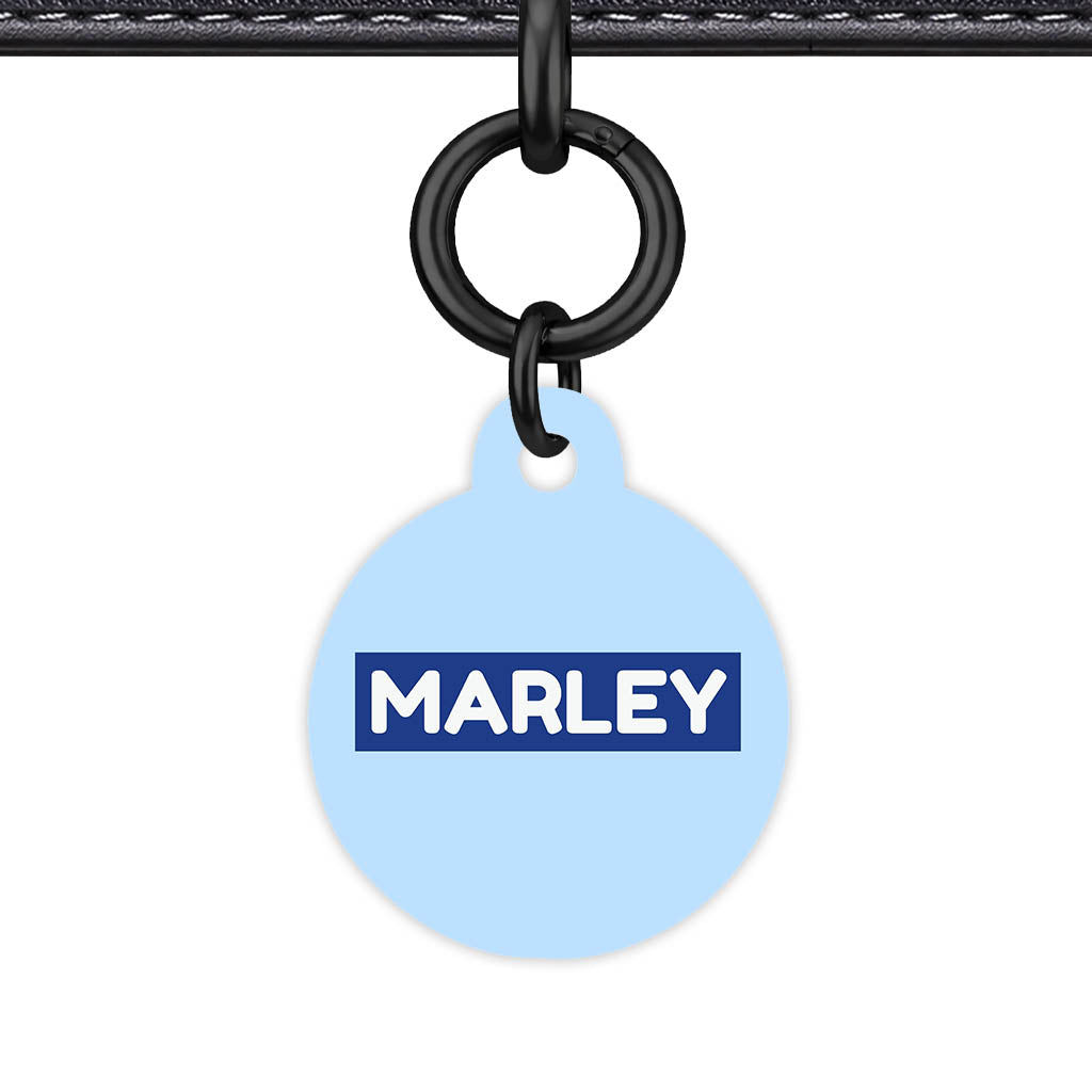 Sky Blue Classic Pet Id - image 26