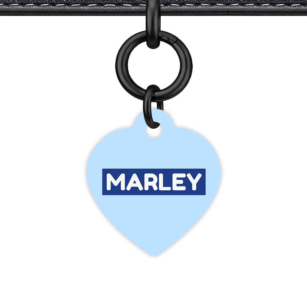 Sky Blue Classic Pet Id - image 6