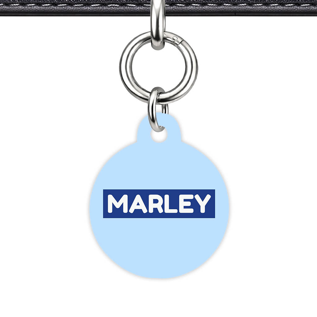 Sky Blue Classic Pet Id - image 23