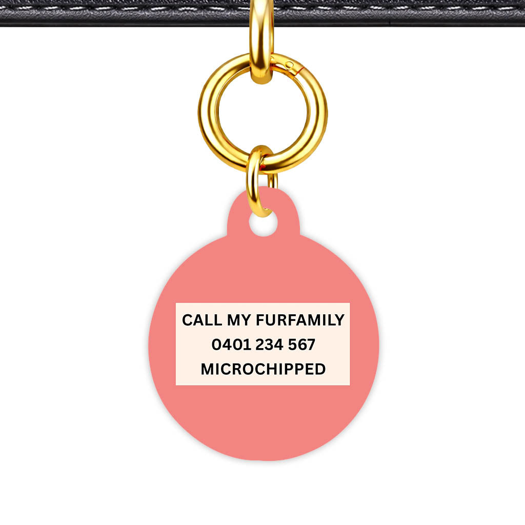 Warm Pink Classic Pet Id - image 22