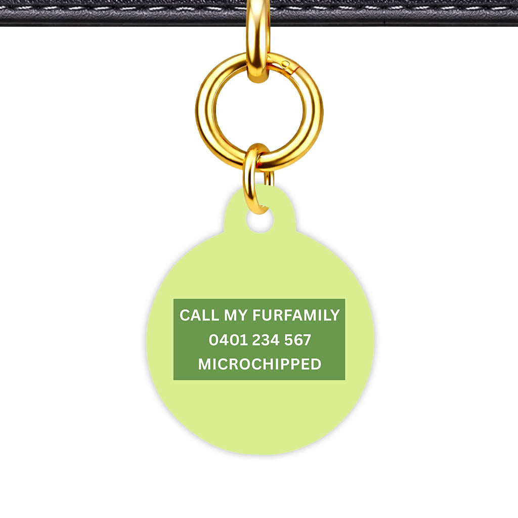 Soft Lime Classic Pet Id - image 22