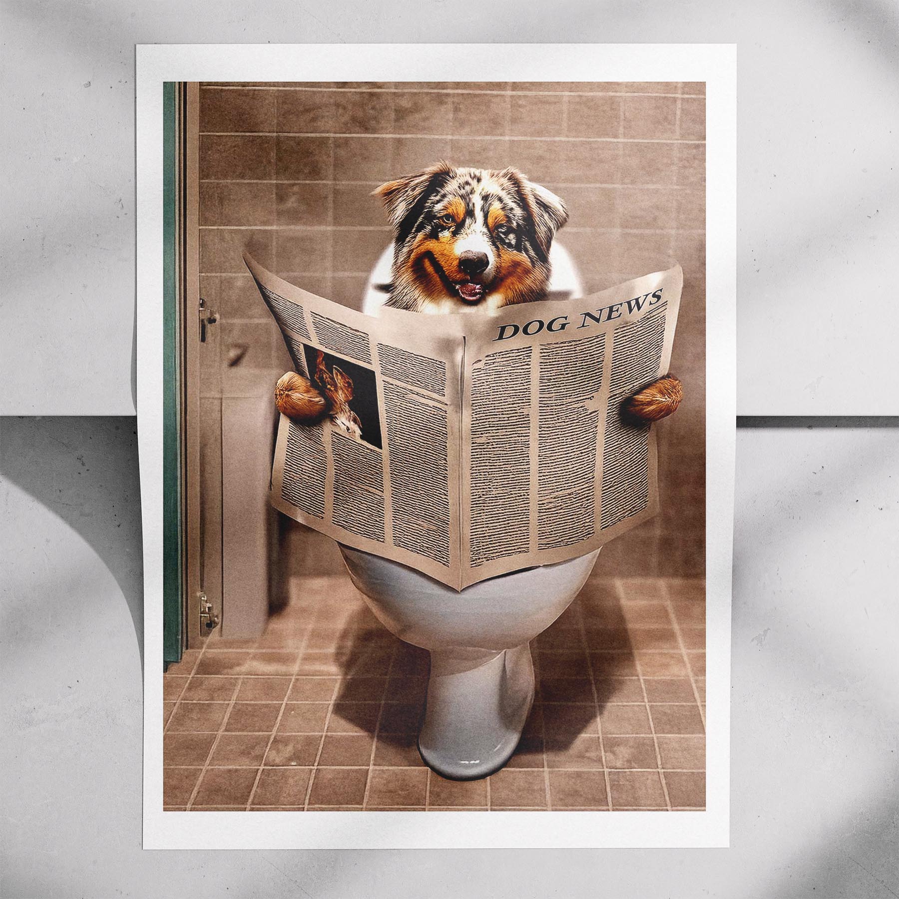 Australian Shepherd Toilet Humour Dog Series 1 image 7