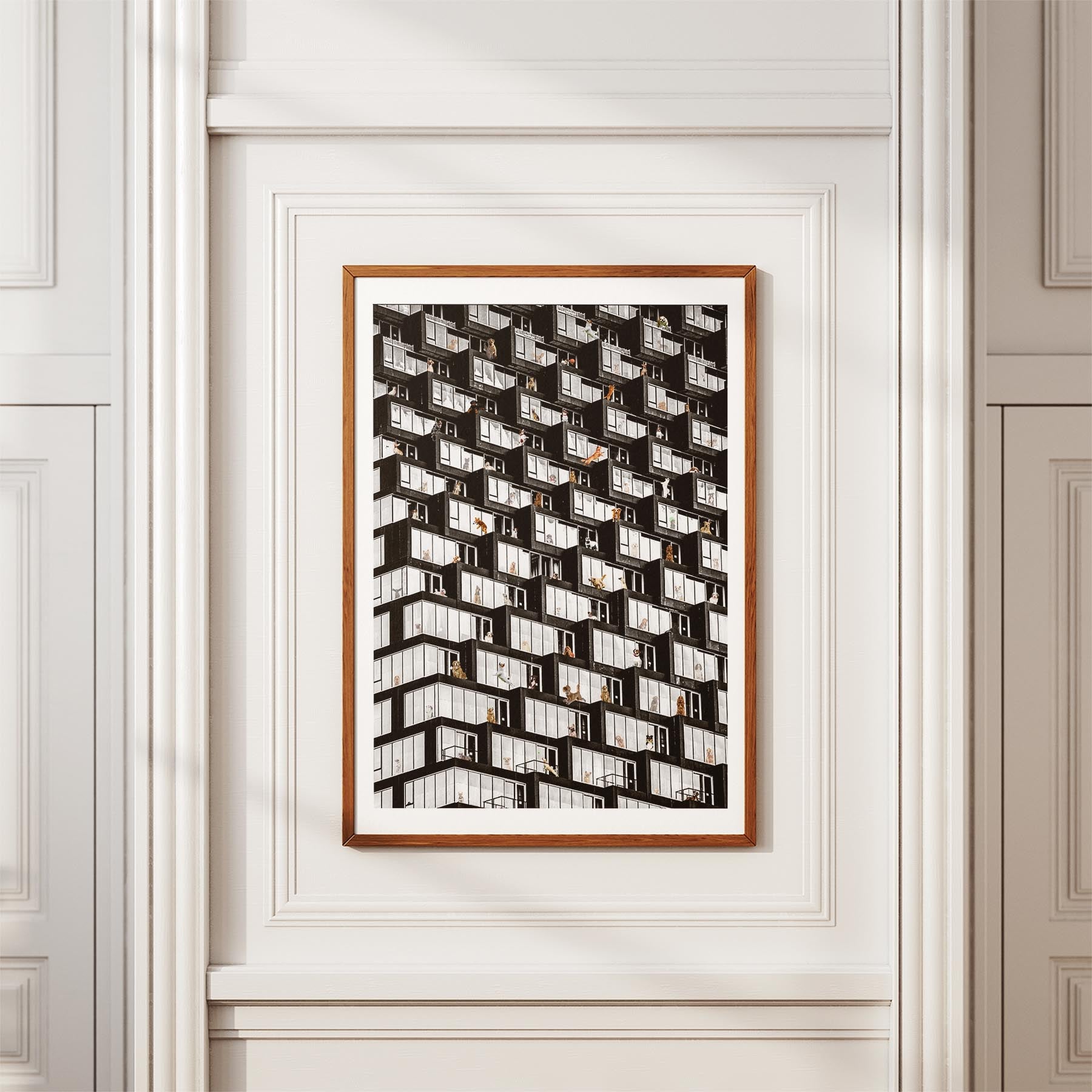 Where is Your Dog Urban NO TEXT image 11