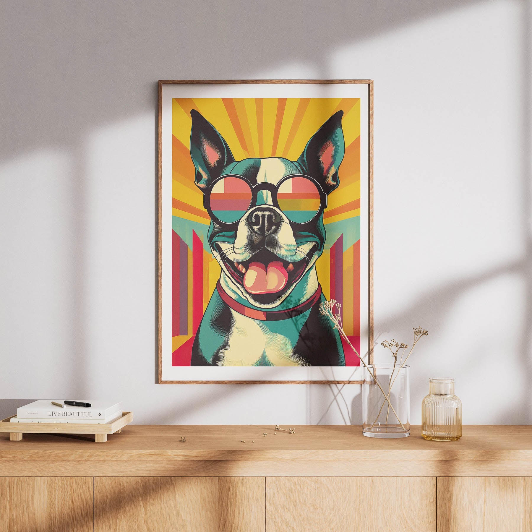 Boston Terrier In Colourful Sunnies 1 image 8