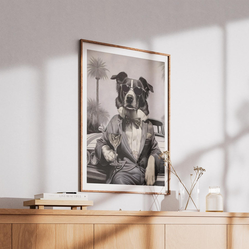 Border Collie The Distinguished Gentleman Dog Series image 5