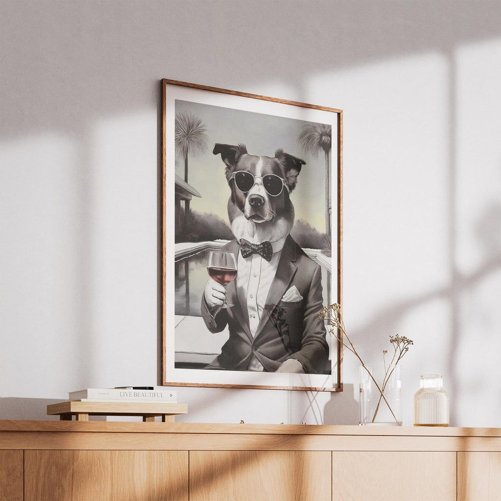 Border Collie The Distinguished Gentleman Dog Series image 5