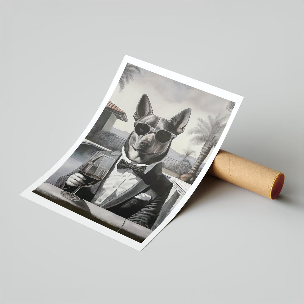 Cattle Dog The Distinguished Gentleman Dog Series image 6