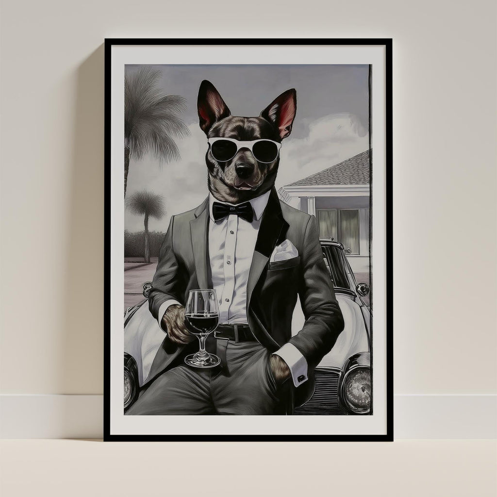 Cattle Dog The Distinguished Gentleman Dog Series image 0