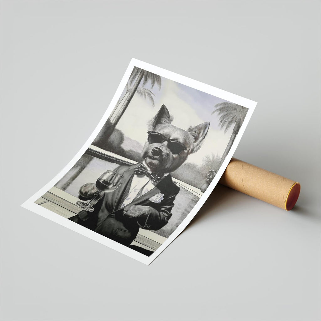 Australian Terrier The Distinguished Gentleman Dog Series image 6