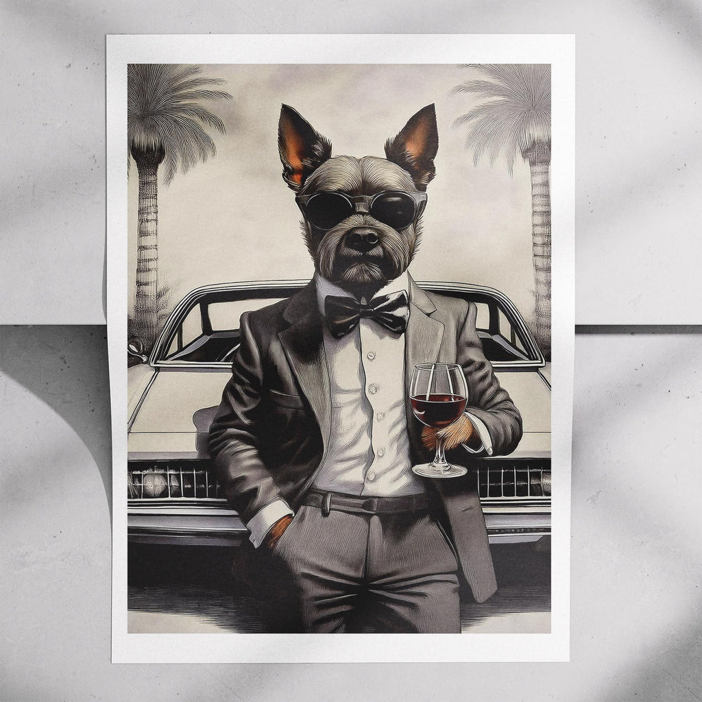 Australian Terrier The Distinguished Gentleman Dog Series image 7