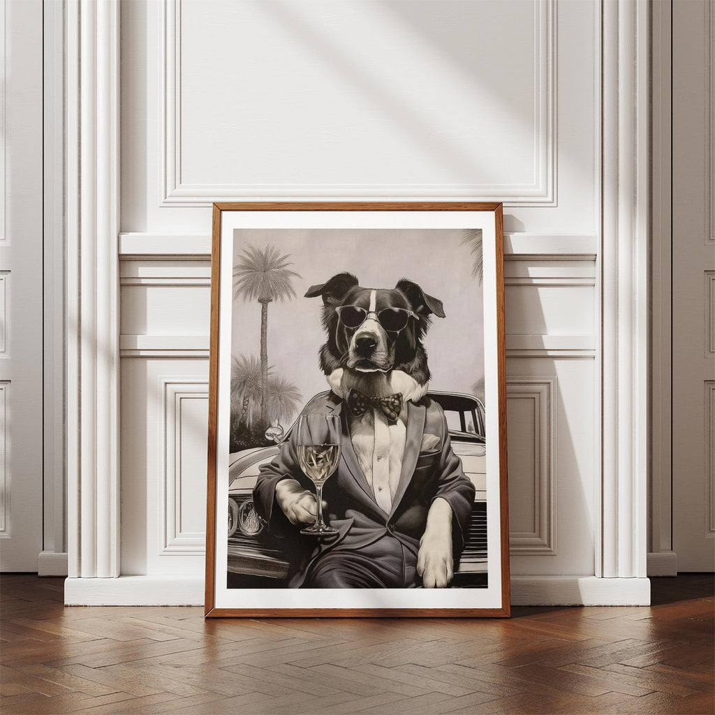 Border Collie The Distinguished Gentleman Dog Series image 4